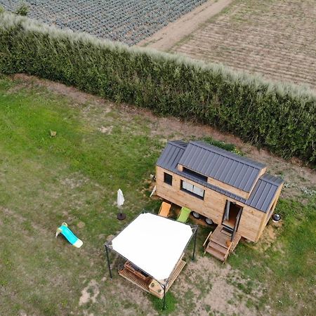 Tiny House Sur La Presqu'Ile Sauvage Hotel Lanmodez Ngoại thất bức ảnh